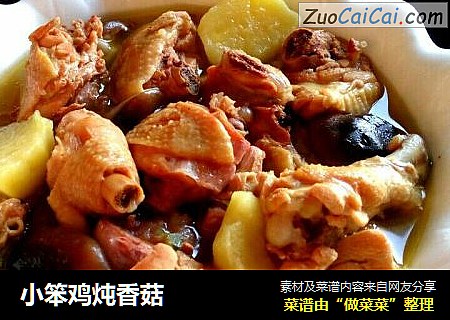 小笨鸡炖香菇