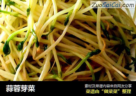 蒜蓉芽菜