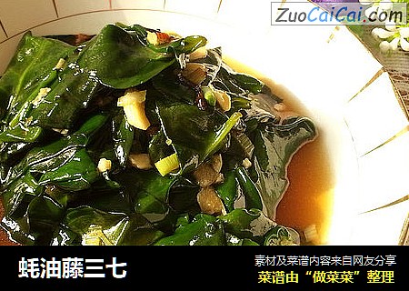 蚝油藤三七