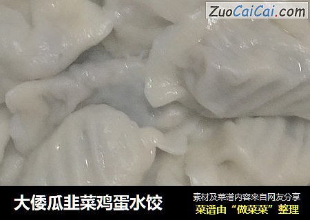大倭瓜韭菜鸡蛋水饺