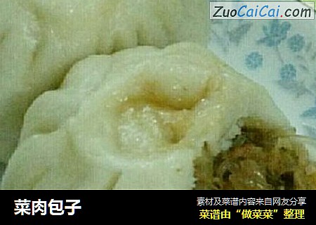 菜肉包子