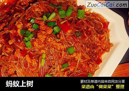 蚂蚁上树