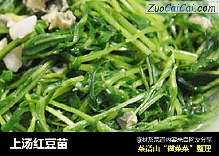 上汤红豆苗