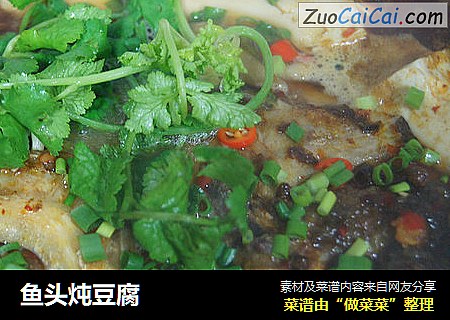 鱼头炖豆腐