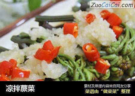 凉拌蕨菜
