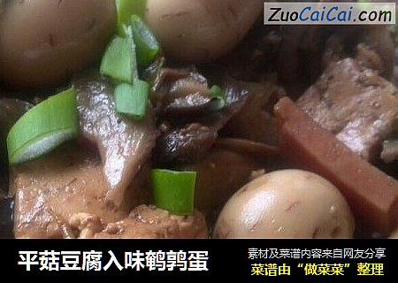 平菇豆腐入味鹌鹑蛋
