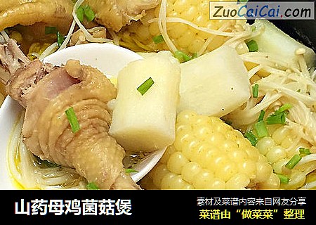 山药母鸡菌菇煲