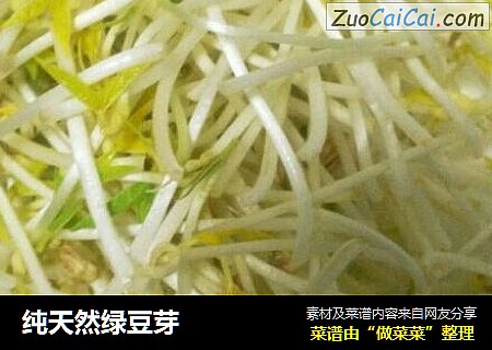 纯天然绿豆芽