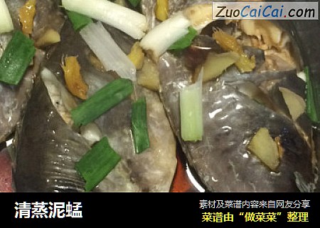 清蒸泥蜢