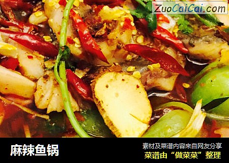 麻辣鱼锅