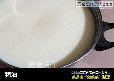 猪油