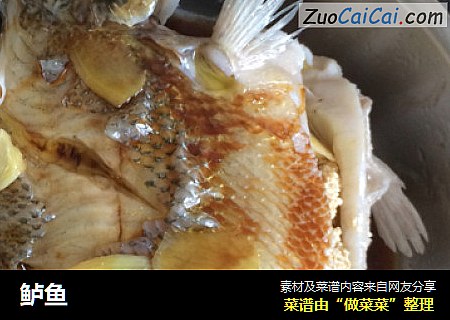 鲈鱼