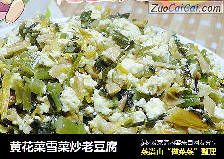 黄花菜雪菜炒老豆腐