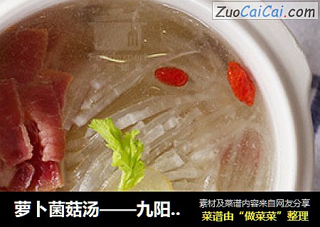 萝卜菌菇汤——九阳知食