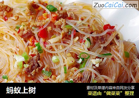 蚂蚁上树