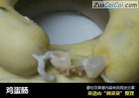 鸡蛋肠