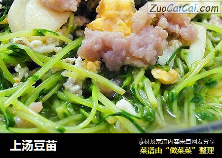上汤豆苗