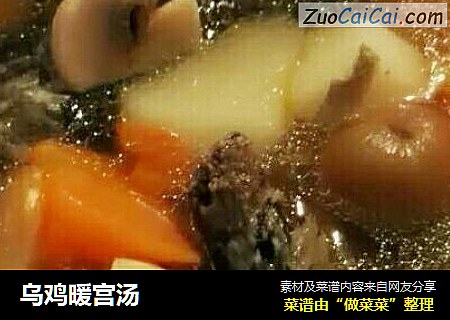 乌鸡暖宫汤