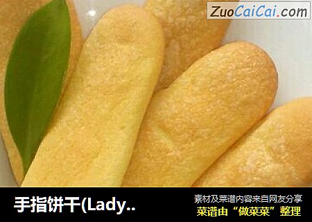 手指饼干(LadyFinger)