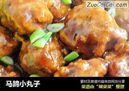 马蹄小丸子