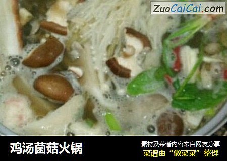 鸡汤菌菇火锅