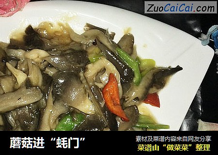 蘑菇进“蚝门”