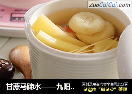 甘蔗马蹄水——九阳知食