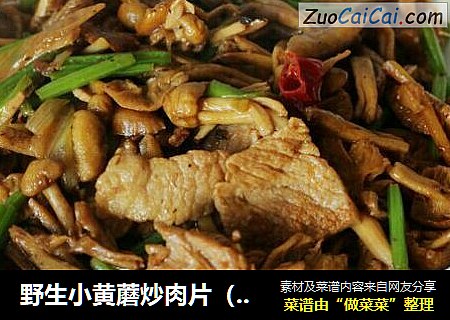 野生小黄蘑炒肉片（内蒙古野生小黄蘑菇配嫩芹菜）