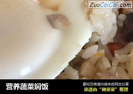 营养蔬菜焖饭