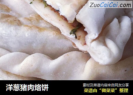 洋葱猪肉烙饼