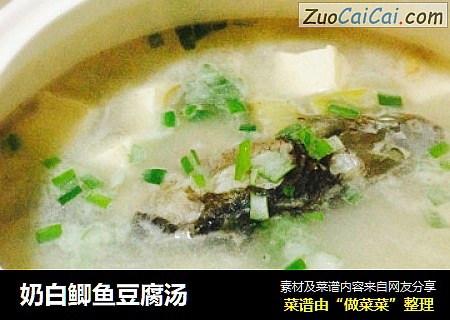 奶白鲫鱼豆腐汤
