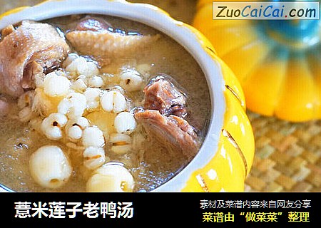 薏米莲子老鸭汤