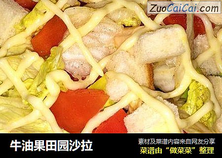 牛油果田园沙拉