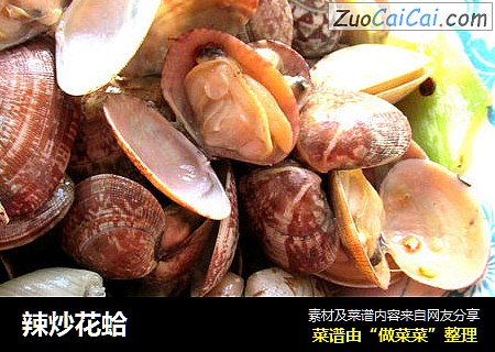 辣炒花蛤