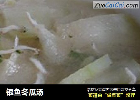 银鱼冬瓜汤