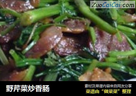 野芹菜炒香肠