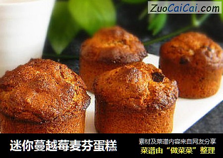 迷你蔓越莓麦芬蛋糕