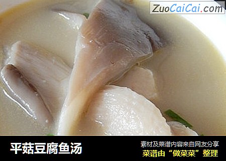 平菇豆腐鱼汤