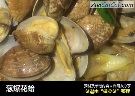 葱爆花蛤