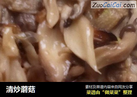 清炒蘑菇