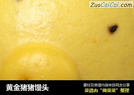 黄金猪猪馒头