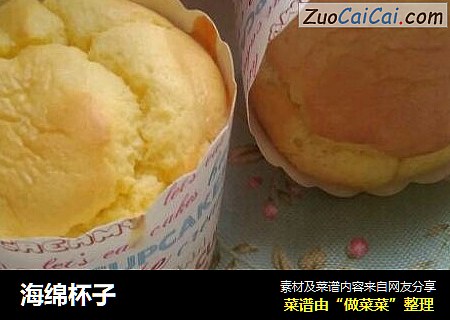 海绵杯子
