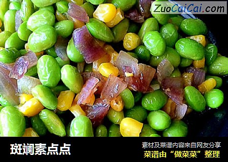 斑斓素点点