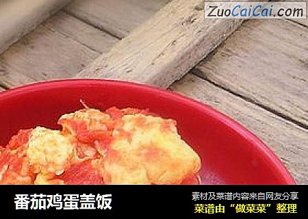 番茄鸡蛋盖饭