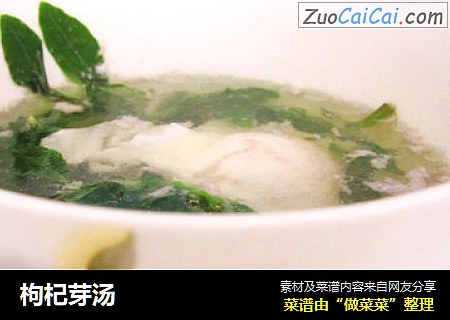 枸杞芽汤