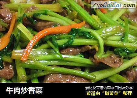 牛肉炒香菜