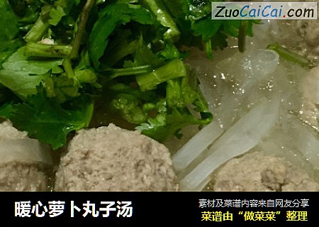 暖心萝卜丸子汤