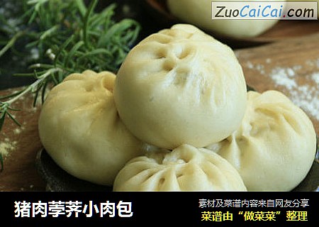 猪肉荸荠小肉包