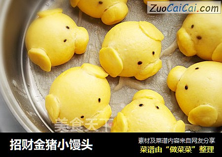 招财金猪小馒头