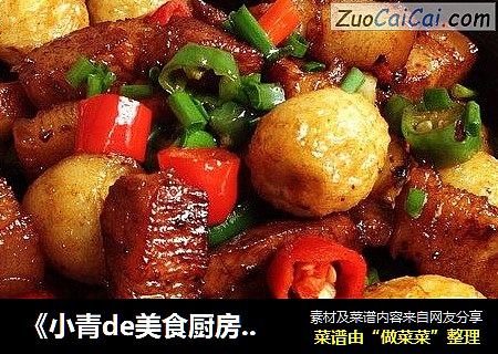 《小青de美食厨房》－正宗红烧肉滚蛋
